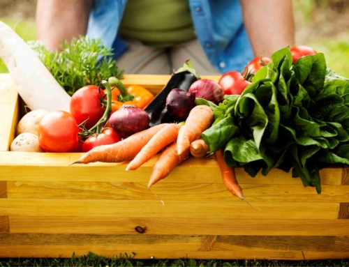 Alimentos orgânicos e de produção local: uma escolha mais saudável e sustentável para a alimentação coletiva