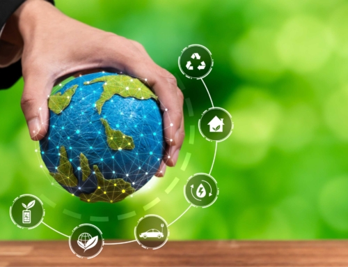 Como implementar práticas sustentáveis na alimentação coletiva